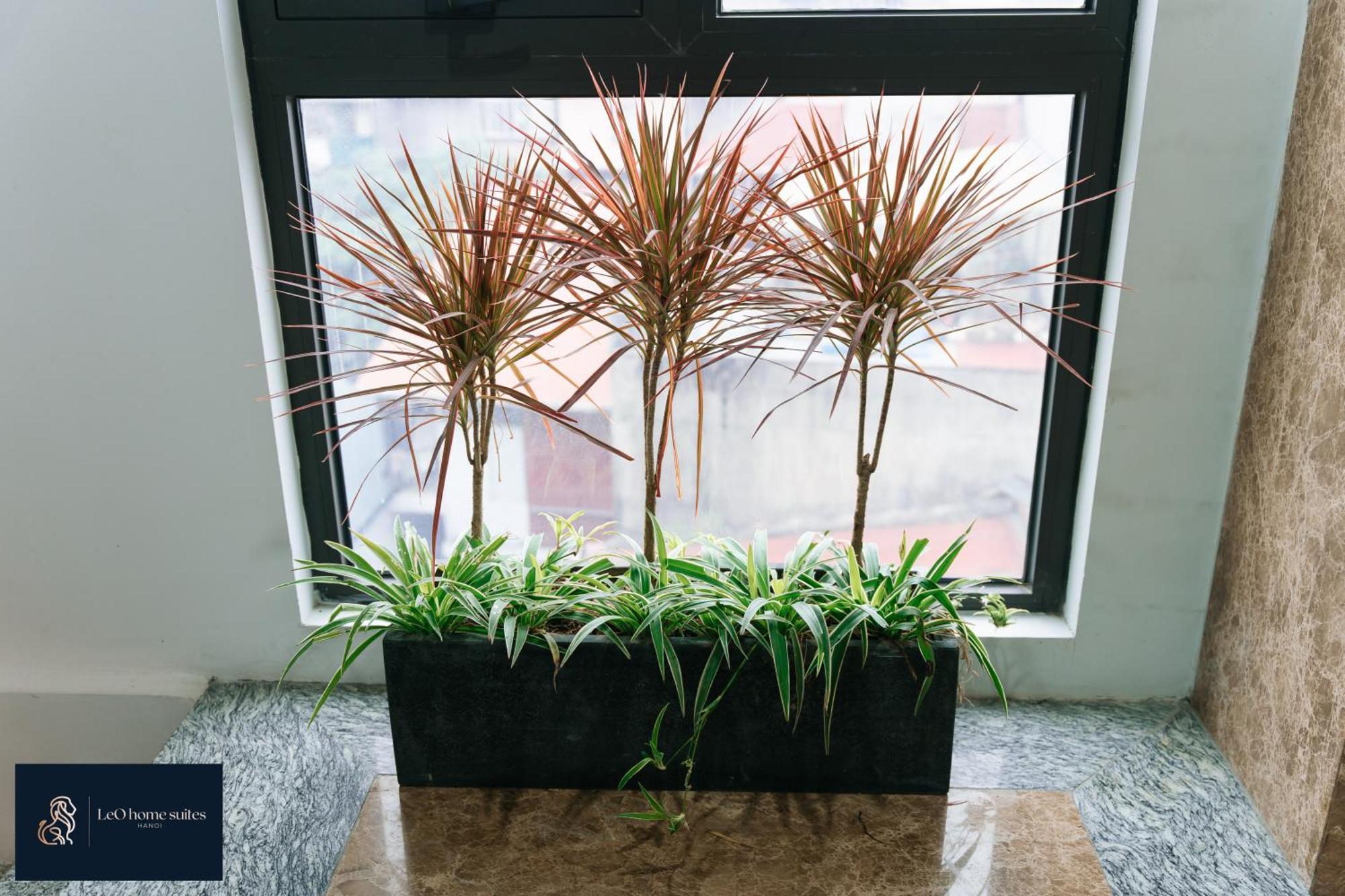 High-Ser Apartment -2Br - Niceview - Parking - Spacious - In Center Ханой Экстерьер фото